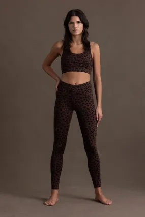 Leggings Leo Chocolate