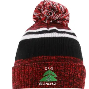 Shanahoe GAA Canyon Bobble Hat